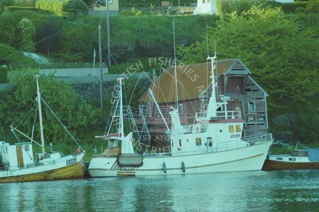 Norwegian fishing vessels.