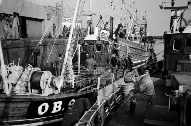 Herring boats, Ayr, May 1984.