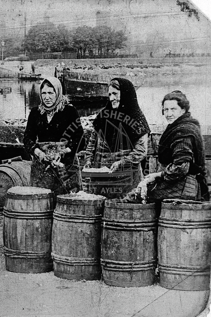 Portrait of three herring packers, Campbeltown.