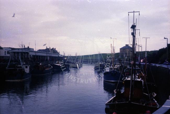 Fishmarket and boats in harbour, Eyemouth, 1979.