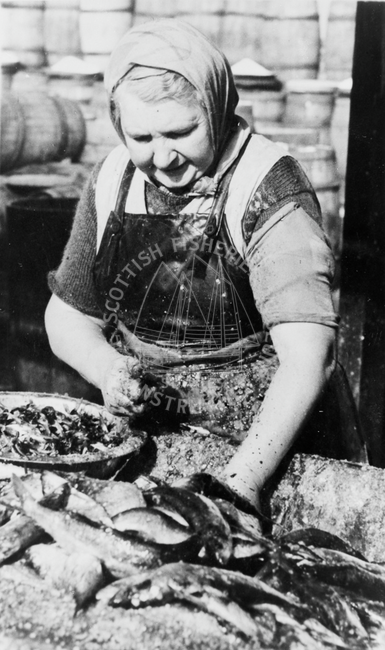 Portrait of fisherlass gutting herring