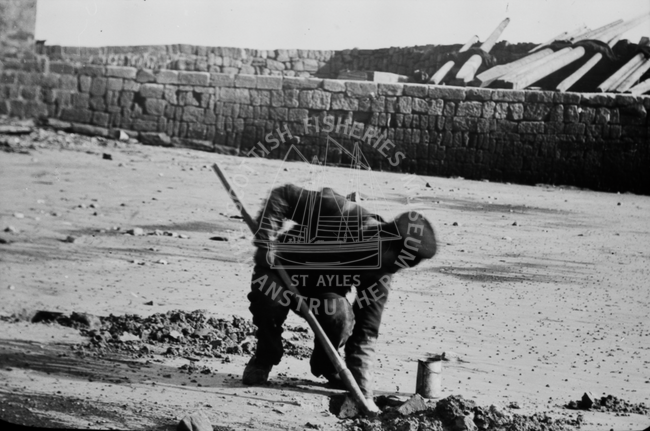 Man digging for bait, Pittenweem, 1875.