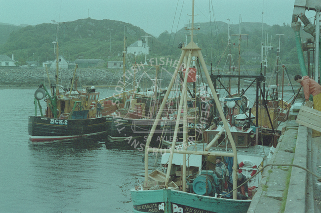 Boats in Lochinver harbour