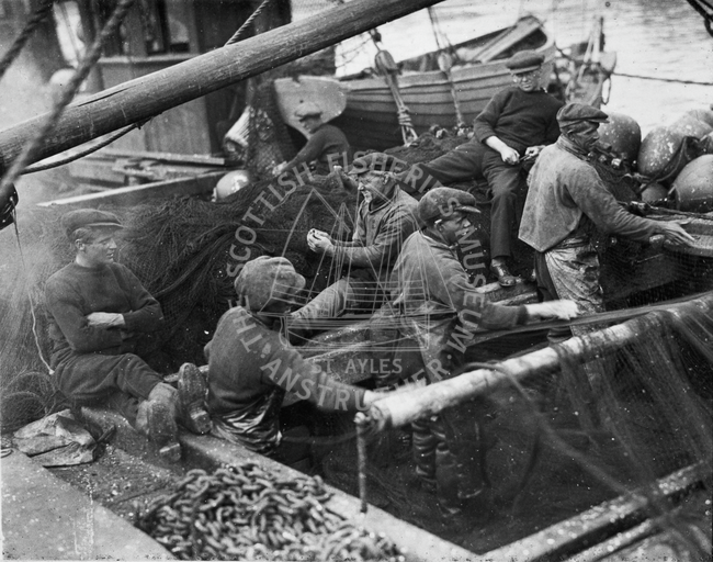 Crew hauling nets onboard boat