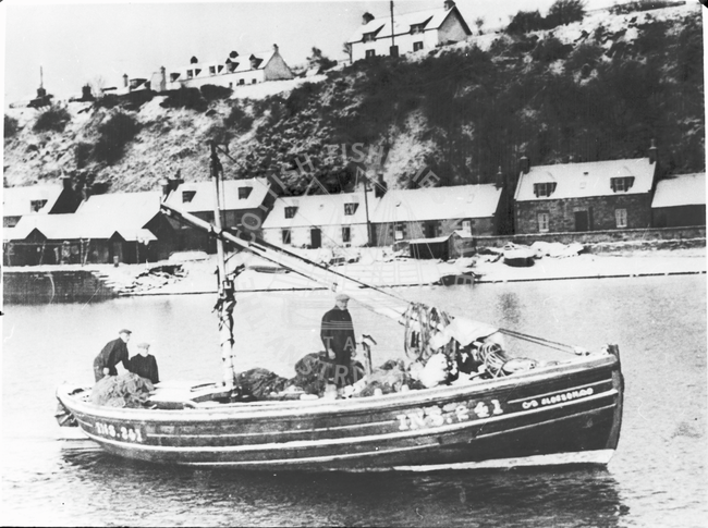 'Blossom', INS241 in 1929