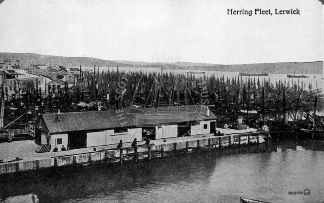 Postcard of 'Herring Fleet, Lerwick', Shetland.