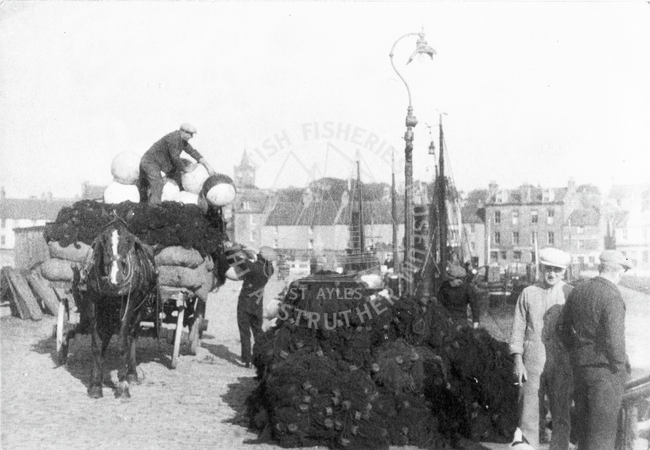Men setting down the nets, Anstruther.