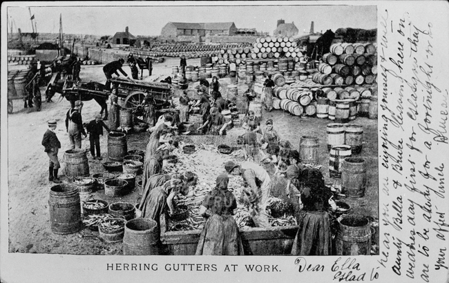 Postcard entitled 'Herring Gutters at work'
