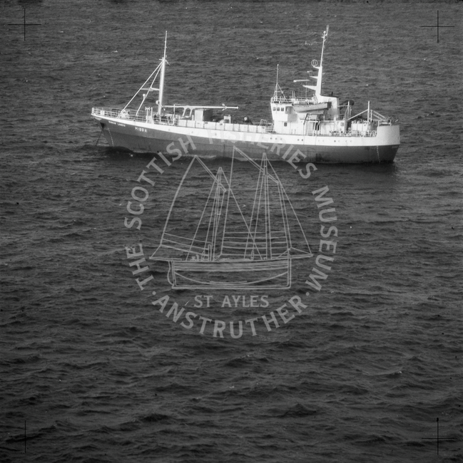 Norweigan purser, H189A, at sea, November 1982
