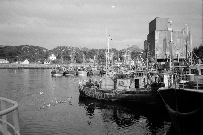 Lochinver from the market pier, August 1984.