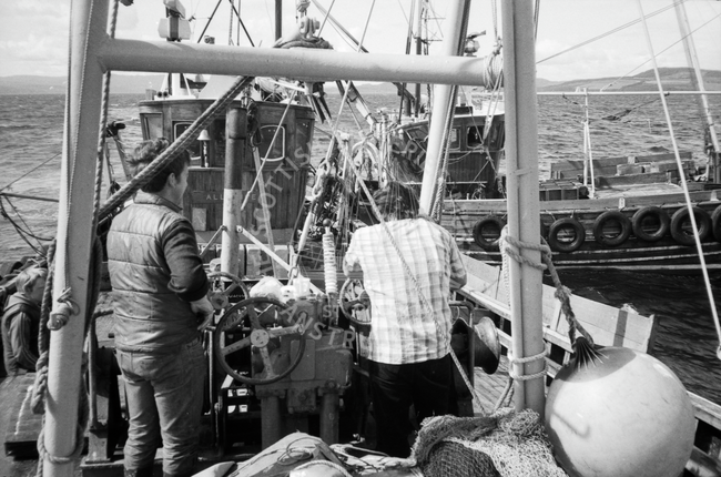 Herring pair-trawl, Firth of Clyde, 1984.