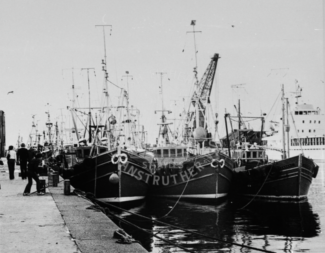 Boats at Ayr Harbour.