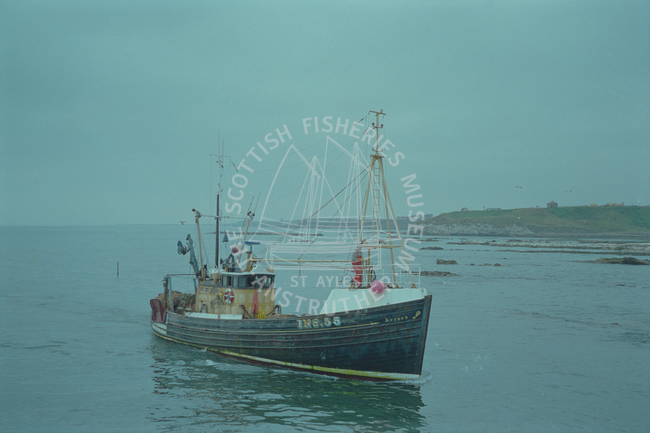 'Accord', INS55 arriving at Pittenweem harbour