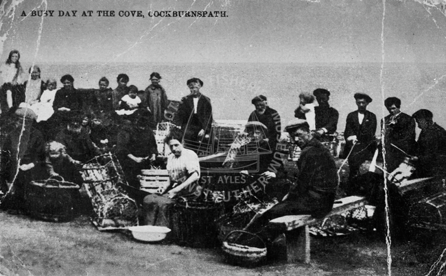 Postcard entitled 'A Busy Day at the cove