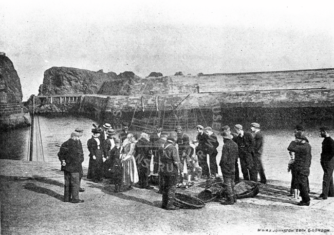 Group of people inspecting a landing of fish