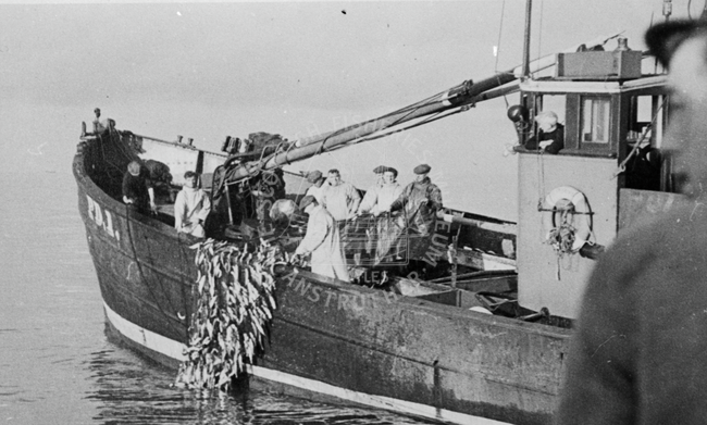 Crew hauling the catch aboard 'Jean Baird', PD1.