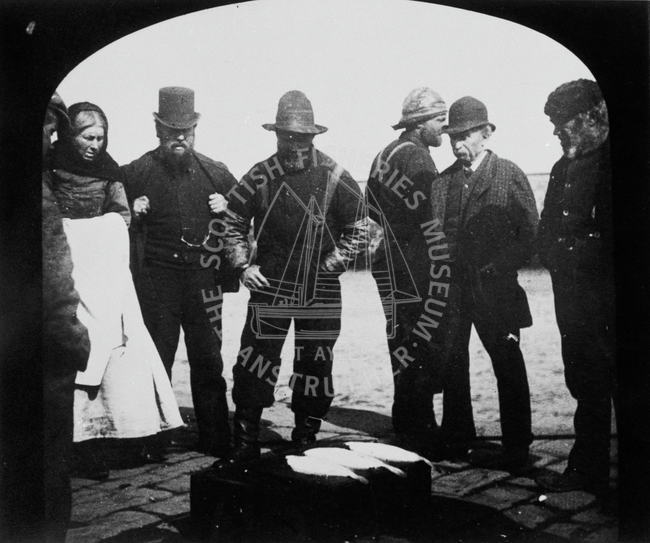 Dover sole landed at the harbour, Dunbar, 1890s.