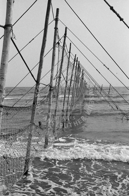 Stake nets, Montrose, August, 1983.