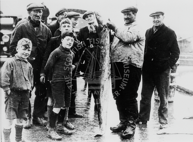 Men and boys with caught fish, St Monans, c.1930