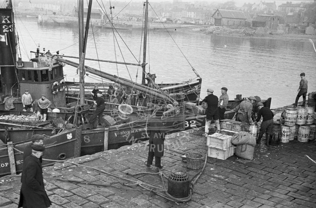 Catch being landed and packed, Anstruther, 1938