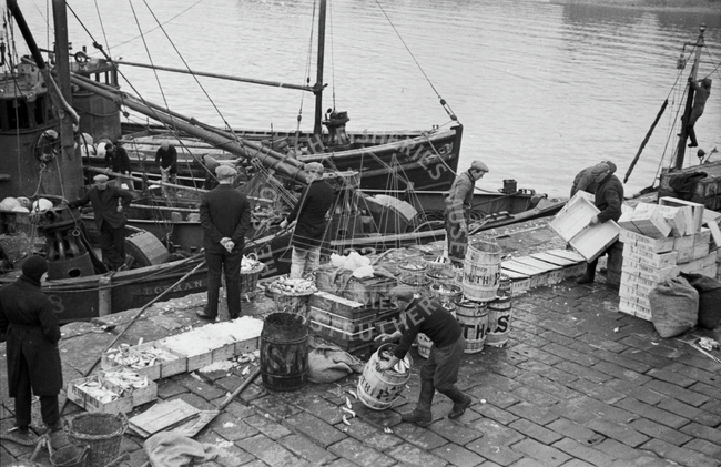Catch being landed and packed, Anstruther, 1938