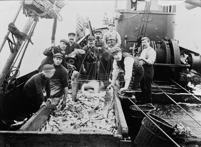 Crew with catch onboard 'Nellie Nutten', GN69.