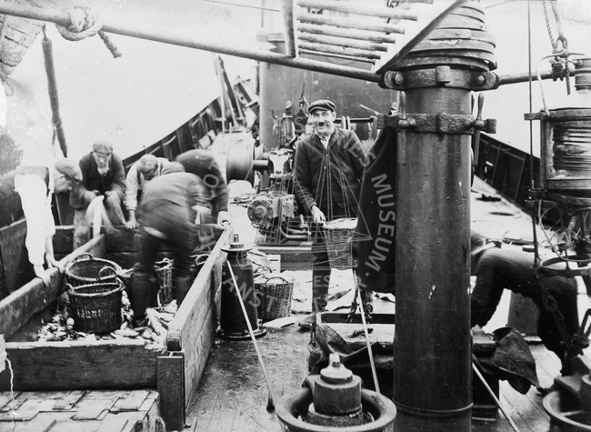 Crew gutting and packing catch onboard 'Nellie