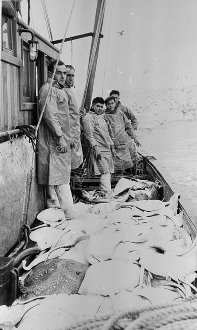 Crew on deck of boat with catch
