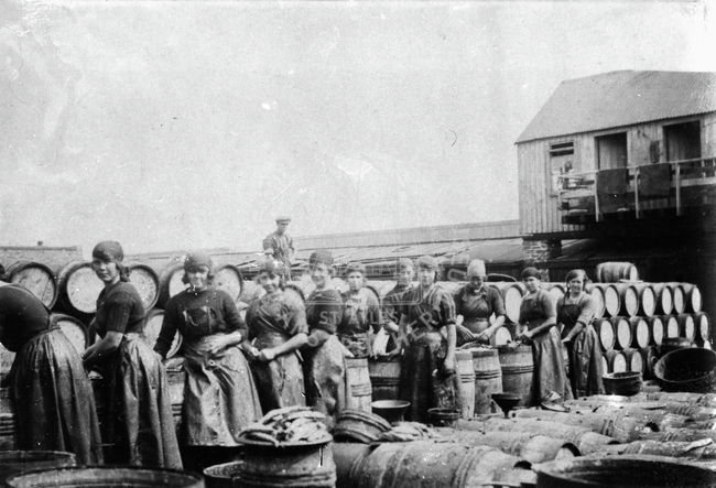 Group portrait of herring girls packing barrels.