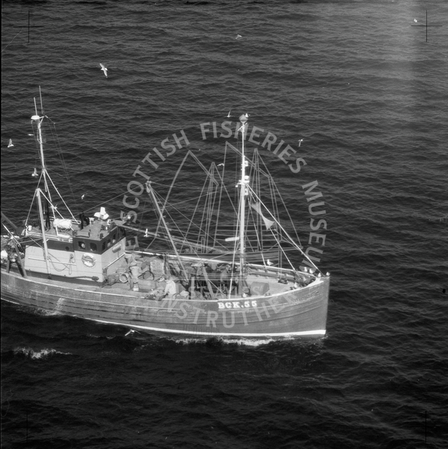 'Amaryllis', BCK55, at sea, July 1982.