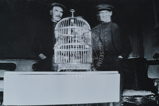Two men with a birdcage
