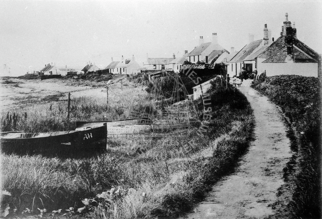 Drawn up boat and houses, Westhaven.