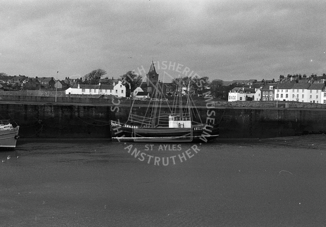 Anstruther Harbour, 1985.