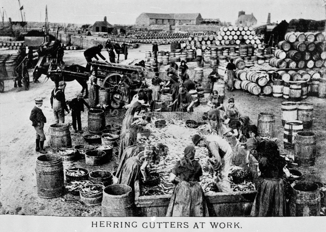 Herring gutters at work, Peterhead, 1920s.
