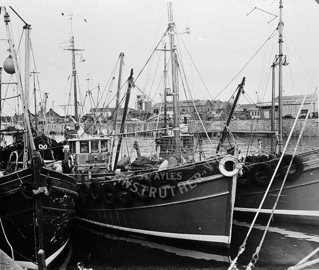'Aliped IX', BA234. in harbour, Girvan.