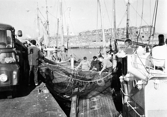 Group of men taking a ringnet onboard 'Aliped IX'