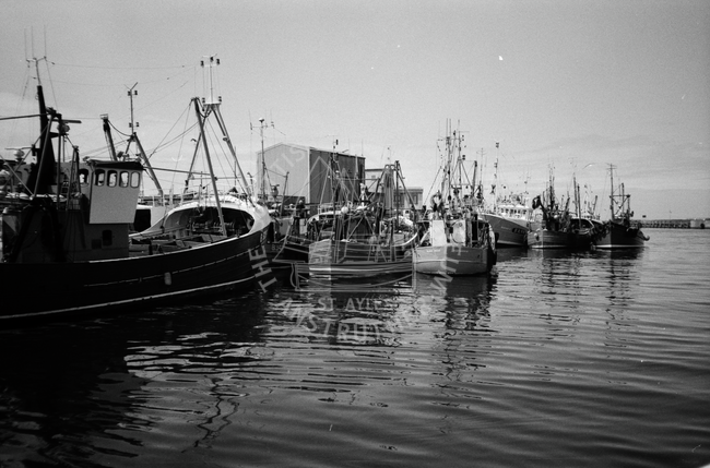 Herring fleet in Ayr Harbour, May 1984.