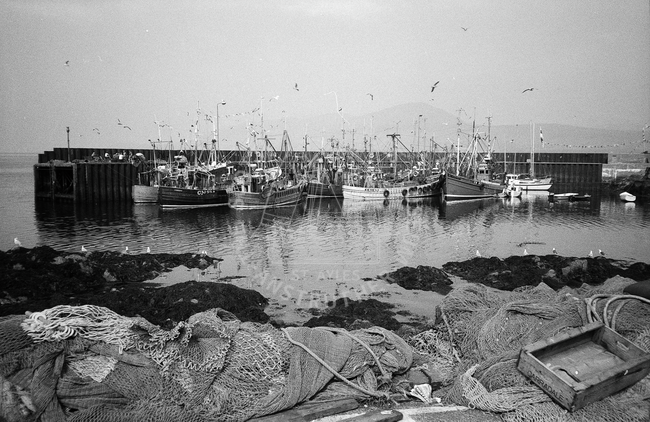 Boats in harbour, Carradale, 1983.