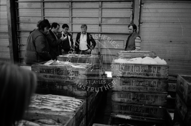 Lochinver fish market, April 1984.