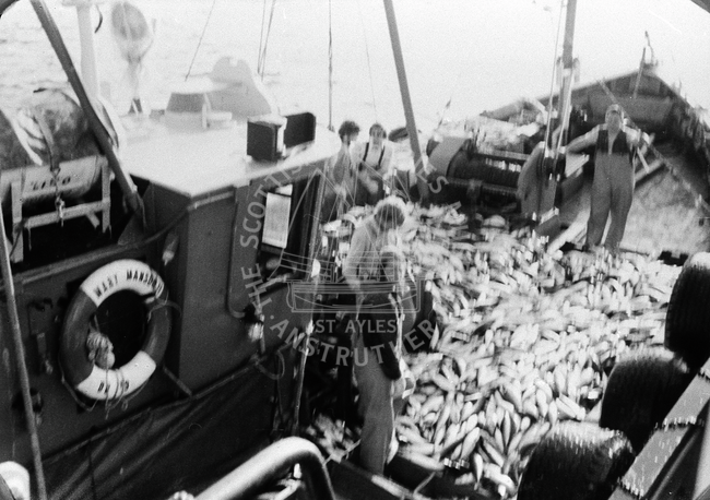 Fishermen with catch onboard 'Mary Manson', OB19.