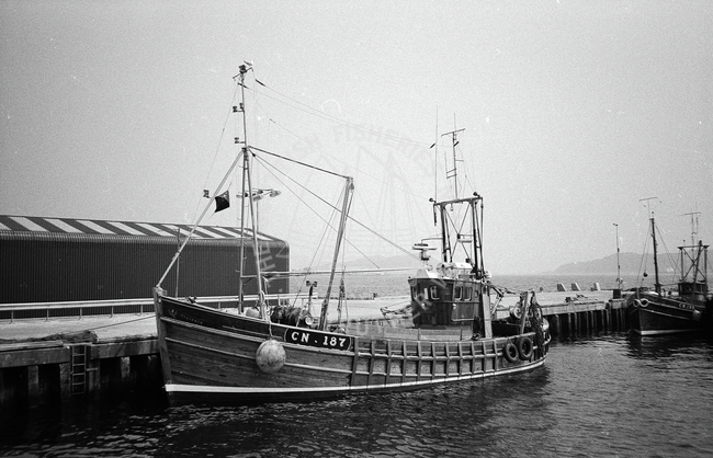 'Alliance', CN187, in harbour, Campbeltown, 1983.