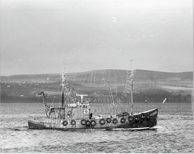 'Franleon', AR61 in the Clyde