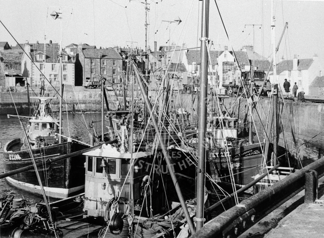 Fishing boats discharging sprats at Pittenweem